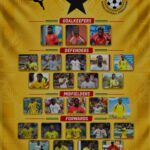 PFAG Backs Black Stars To Shine Bright at 2026 FIFA World Cup