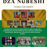 Dza Ngbɛshi June Edition: The World Cup Edition